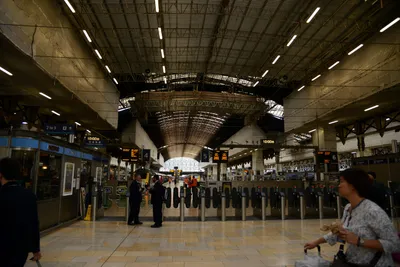 DSC_2510 (Large).JPG